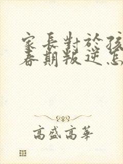 家长对于孩子青春期叛逆怎么办