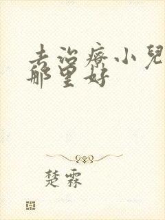 去治疗小儿好动那里好