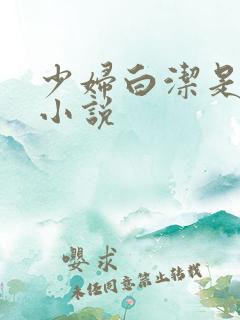 少妇白洁是哪部小说