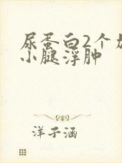 尿蛋白2个加号小腿浮肿