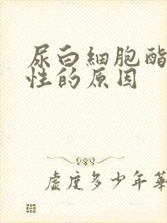 尿白细胞酯酶阳性的原因