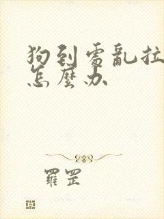 狗到处乱拉乱尿怎么办