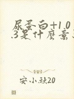 尿蛋白+1 0.3是什么意思