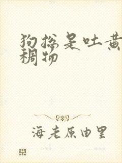 狗总是吐黄色粘稠物