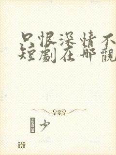 只恨深情不识鸢短剧在哪观看高清免费