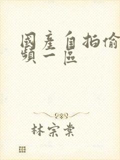 国产自拍偷拍视频一区