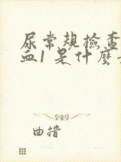 尿常规检查尿隐血1 是什么意思