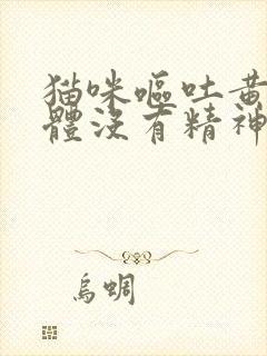 猫咪呕吐黄色液体没有精神