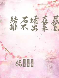 结石堵在尿道口排不出来怎么办