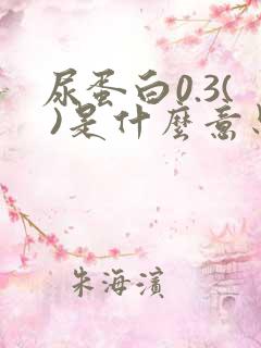 尿蛋白0.3( )是什么意思