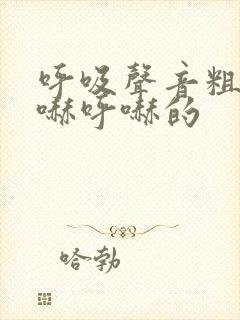 呼吸声音粗重呼哧呼哧的