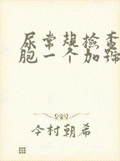 尿常规检查白细胞一个加号