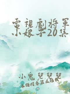 电视剧将军家的小娘子20集至40集