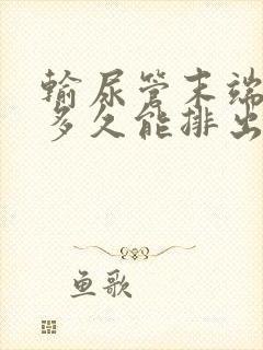 输尿管末端结石多久能排出