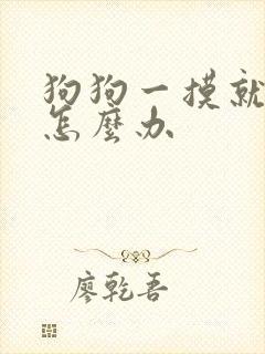 狗狗一摸就漏尿怎么办