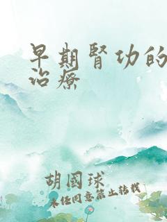 早期肾功的衰竭治疗