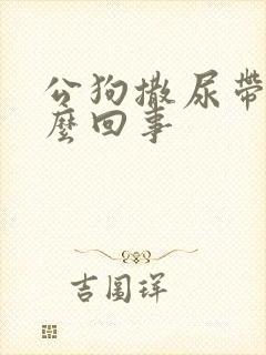 公狗撒尿带血怎么回事