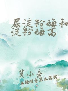 尿淀粉酶和尿胰淀粉酶高