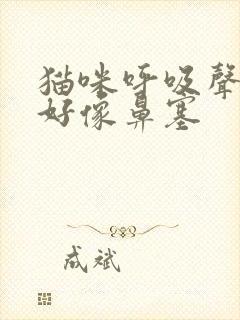 猫咪呼吸声音大好像鼻塞