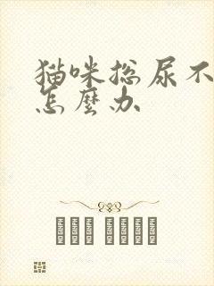 猫咪总尿不出尿怎么办