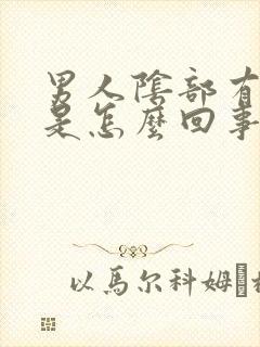 男人阴部有疙瘩是怎么回事