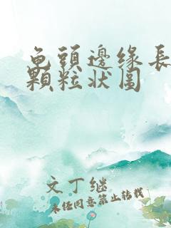 龟头边缘长出小颗粒状图