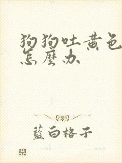 狗狗吐黄色液体怎么办