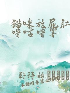 猫咪放屁肚子咕噜咕噜响