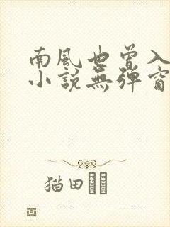 南风也曾入我怀小说无弹窗
