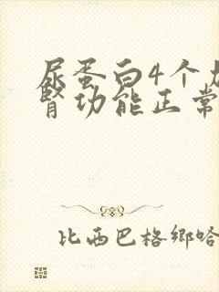 尿蛋白4个加号肾功能正常