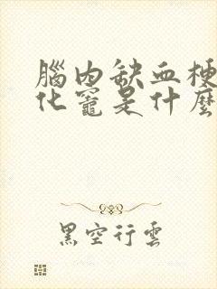 脑内缺血梗死软化灶是什么意思