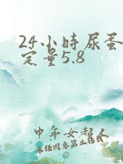 24小时尿蛋白定量5.8