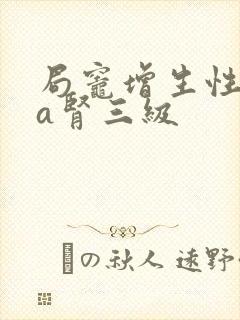 局灶增生性iga肾三级