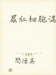 尿红细胞满视野