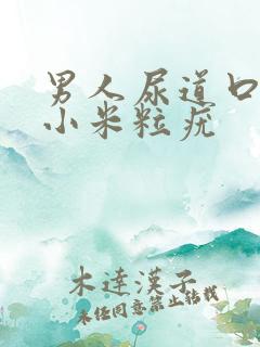 男人尿道口上长小米粒疣