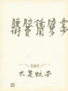 腹腔镜胆囊切除术费用多少钱