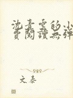 沈青云的小说免费阅读无弹窗