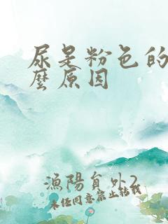 尿是粉色的是什么原因