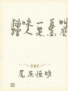 猫咪一直叫唤还蹭人是怎么回事