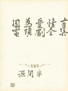 因为爱情有幸福电视剧全集免费