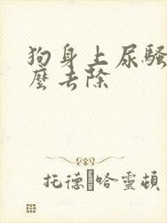 狗身上尿骚味怎么去除