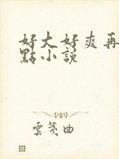 好大好爽再深一点小说