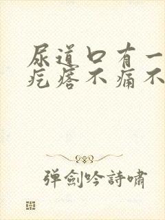 尿道口有一个小疙瘩不痛不痒