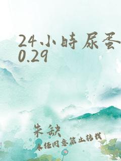 24小时尿蛋白0.29