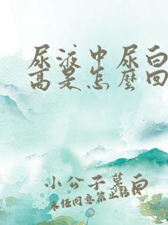 尿液中尿白细胞高是怎么回事