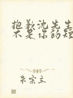 抱歉沈先生孩子不是你的短剧在线观看