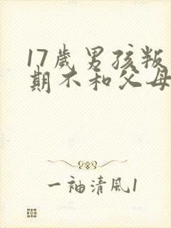 17岁男孩叛逆期不和父母沟通怎么办