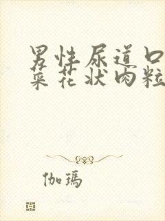 男性尿道口长出菜花状肉粒