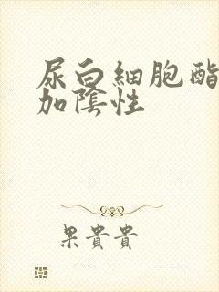 尿白细胞酯酶2加阴性