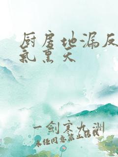 厨房地漏反味臭气熏天